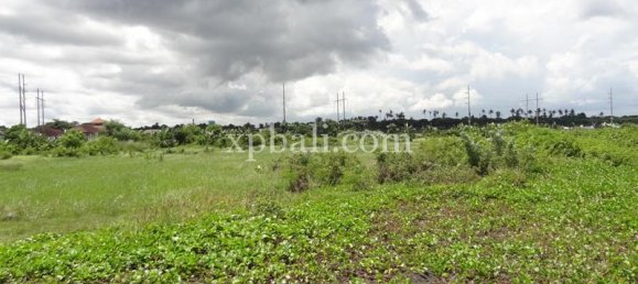 Grundstück in Gianyar, Indonesia 11950m², Nr. 3854 6