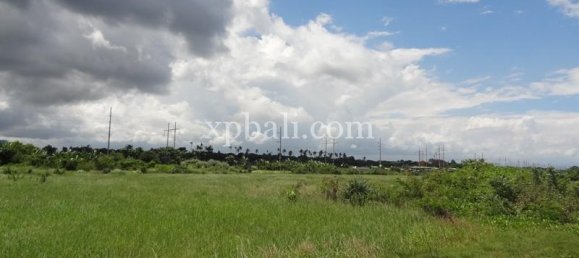 Grundstück in Gianyar, Indonesia 11950m², Nr. 3854 3