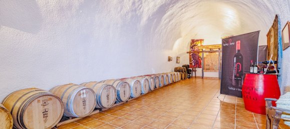 2000m² Building in Huetor Vega, Spain No. 134440 10