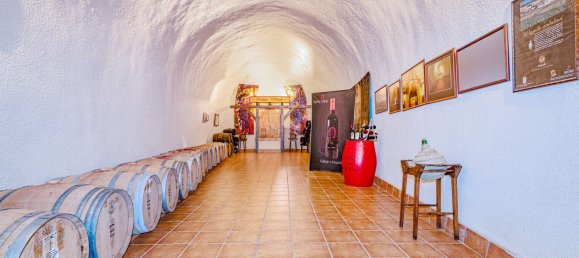 2000m² Building in Huetor Vega, Spain No. 134440 9