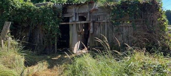 4غرفة منزل في Gustrow, Germany رقم 319375 12