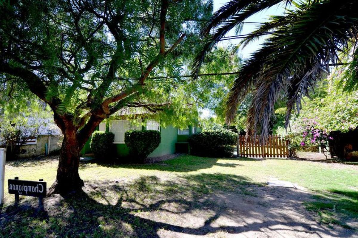 Дом с 3 спальнями в Мальдонадо, Уругвай № 274