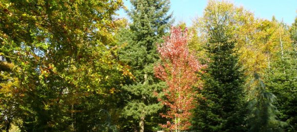  Land in Rhein-Lahn, Germany No. 217979 9