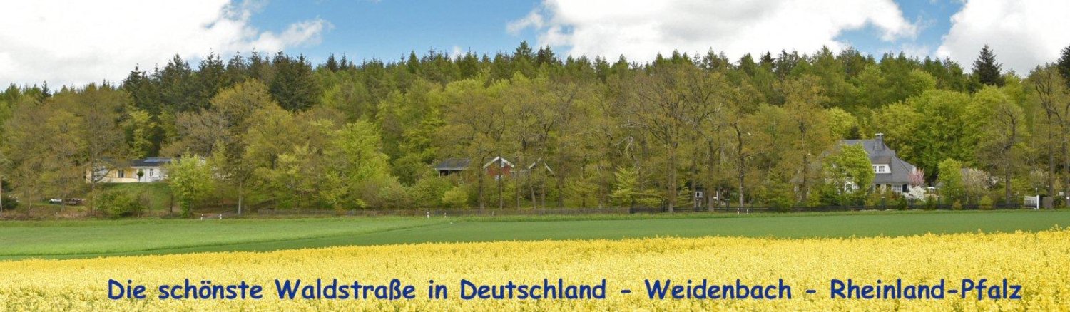  Land in Rhein-Lahn, Germany No. 217979