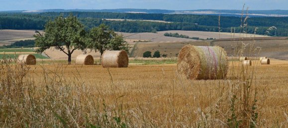  Land in Rhein-Lahn, Germany No. 217979 5