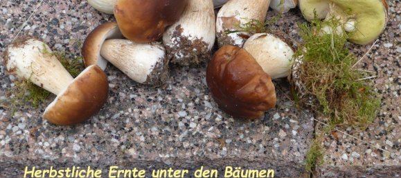  Land in Rhein-Lahn, Germany No. 217979 8