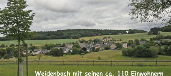  Land in Rhein-Lahn, Germany No. 217979 2