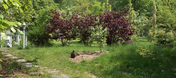  Land in Rhein-Lahn, Germany No. 217979 15