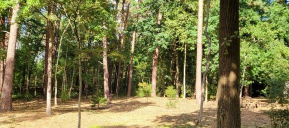 2 bedrooms House in Hanover, Germany No. 291432 9