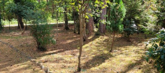 2 bedrooms House in Hanover, Germany No. 291432 4