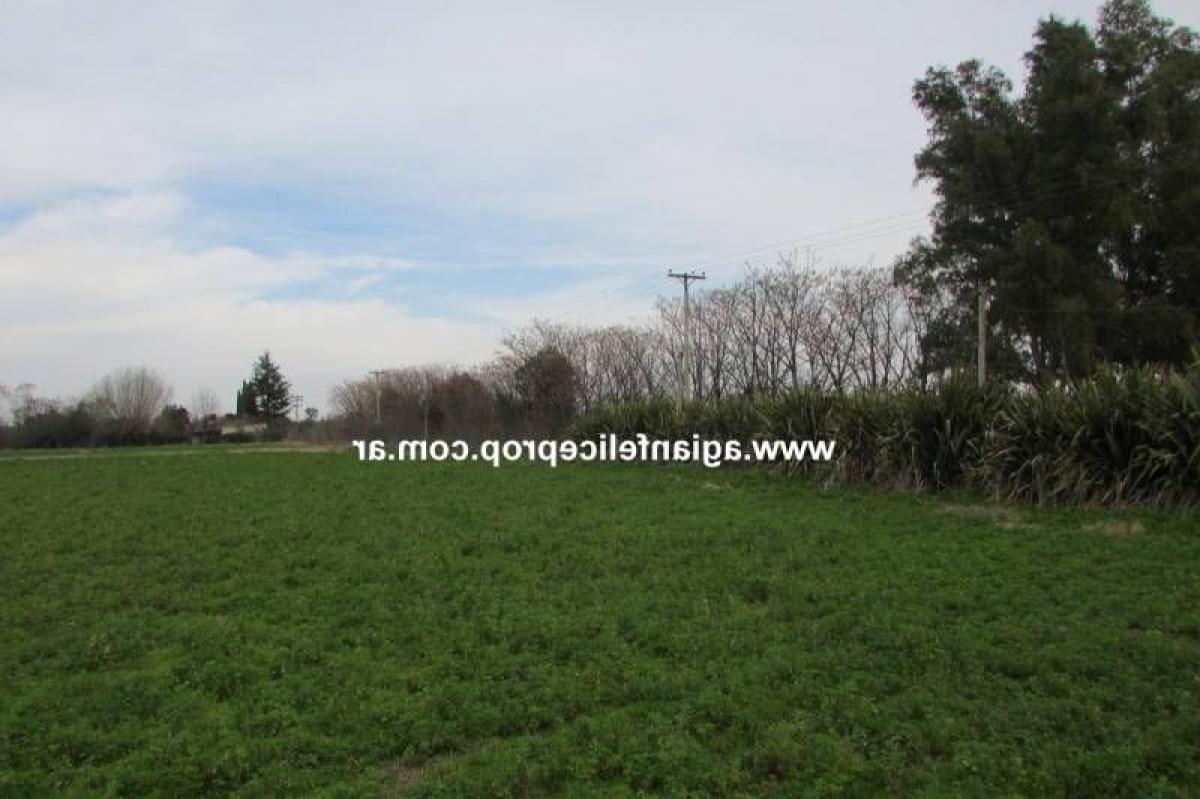  Land in Lobos, Argentina No. 39160