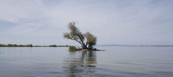 3 rooms Bungalow in Gaissau, Austria No. 238981 23