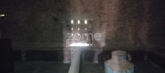 1 bedroom House in Cabeceiras de Basto, Portugal No. 14364 33