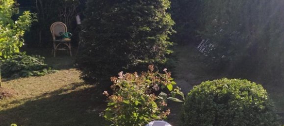 4 chambres Maison de ville à Vorpommern-Rugen, Germany No. 270778 14