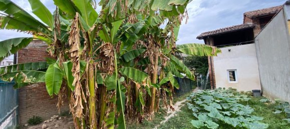 4 bedrooms House in Borgonovo Val Tidone, Italy No. 340438 18