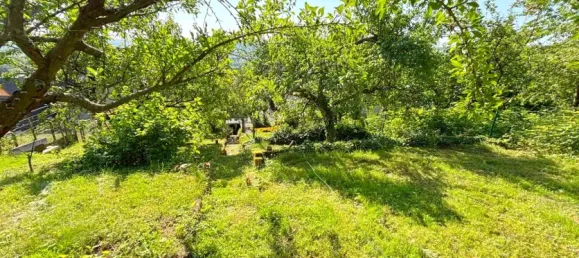 Adosado de 5 dormitorios en Trier, Germany No. 287976 22