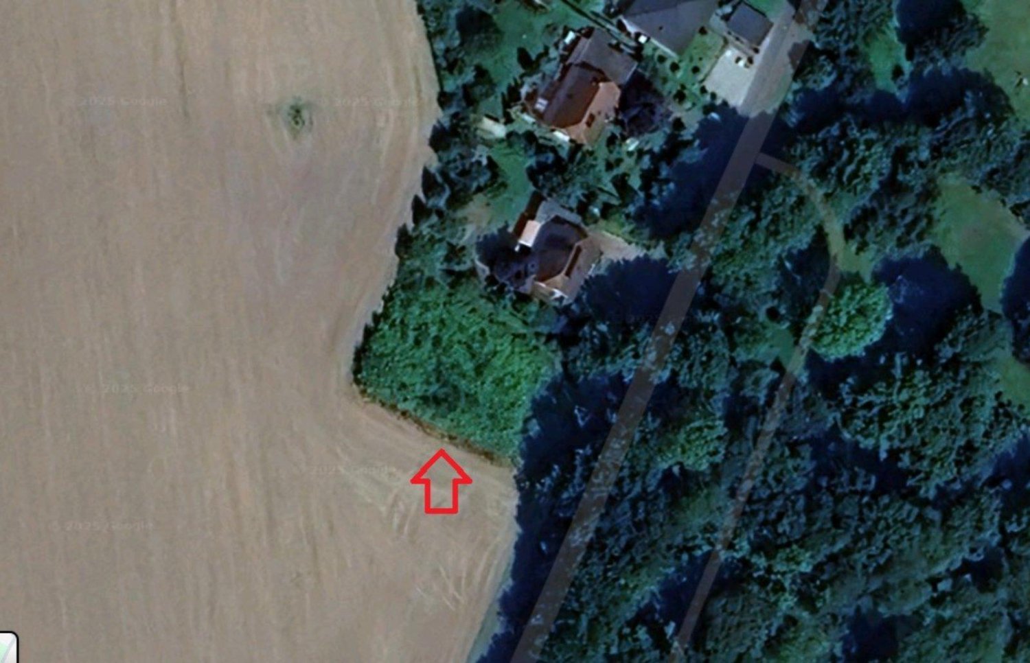  Land in Gustrow, Germany No. 218035