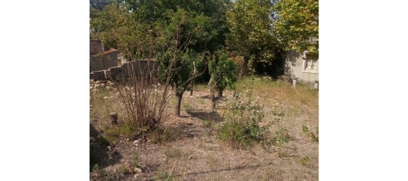 5 bedrooms House in Sintra, Portugal No. 139226 5