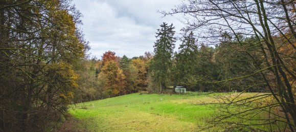 5-salle Villa à Aachen, Germany No. 77789 7