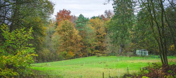 5-salle Villa à Aachen, Germany No. 77789 8