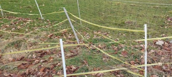 6 rooms House in Hof, Germany No. 119884 12