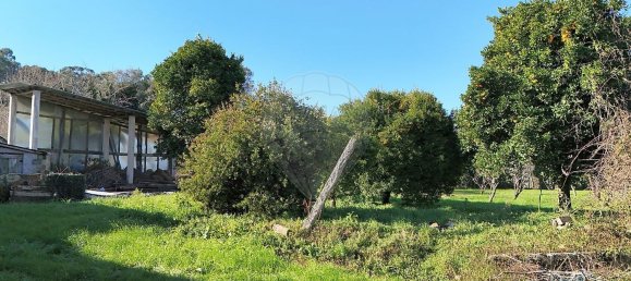 4 Schlafzimmer Haus in Faia, Portugal, Nr. 38525 6