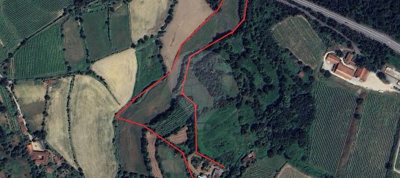 4 Schlafzimmer Haus in Faia, Portugal, Nr. 38525 4