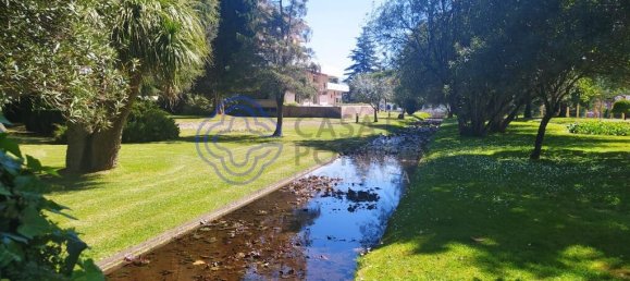 4 bedrooms House in Torres Novas, Portugal No. 14483 35