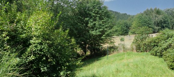 4 rooms House in Sachsische Schweiz-Osterzgebirge, Germany No. 171047 4