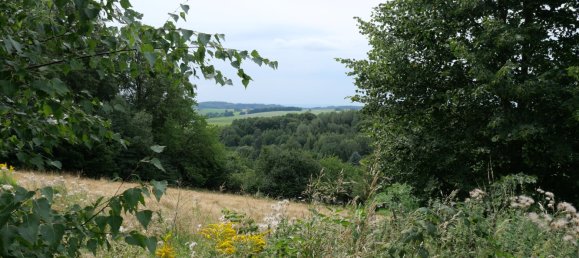 4 rooms House in Sachsische Schweiz-Osterzgebirge, Germany No. 171047 10
