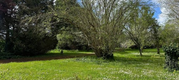 2 chambres Maison à Sarzay, France No. 69990 14
