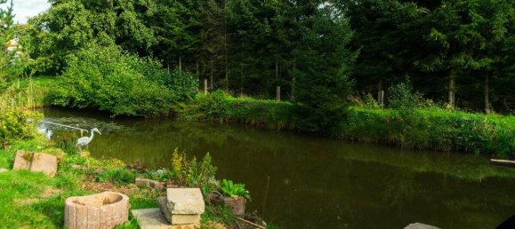 10 rooms Building in Ilm-Kreis, Germany No. 102394 25