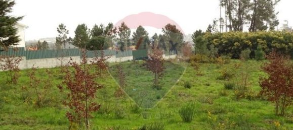 10000m² Land in Mangualde, Portugal No. 52726 10