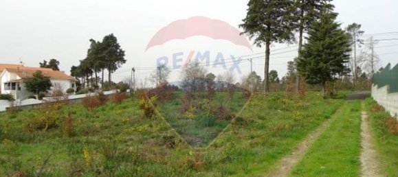10000m² Land in Mangualde, Portugal No. 52726 15