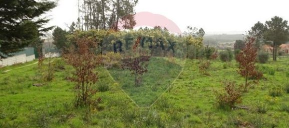 10000m² Land in Mangualde, Portugal No. 52726 5