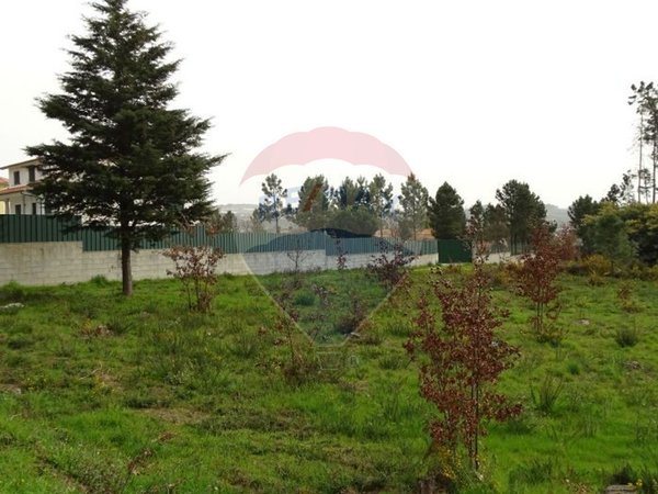 10000m² Land in Mangualde, Portugal No. 52726