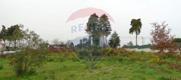 10000m² Land in Mangualde, Portugal No. 52726 8