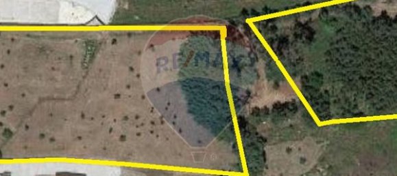10000m² Land in Mangualde, Portugal No. 52726 6