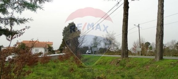 10000m² Land in Mangualde, Portugal No. 52726 14