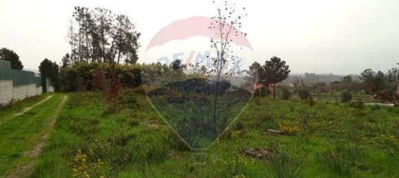 10000m² Land in Mangualde, Portugal No. 52726 12