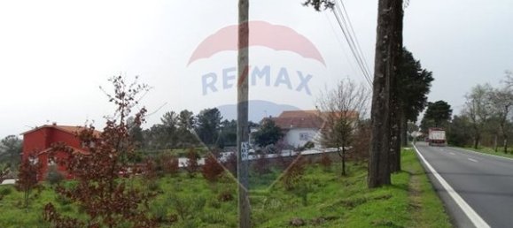 10000m² Land in Mangualde, Portugal No. 52726 3