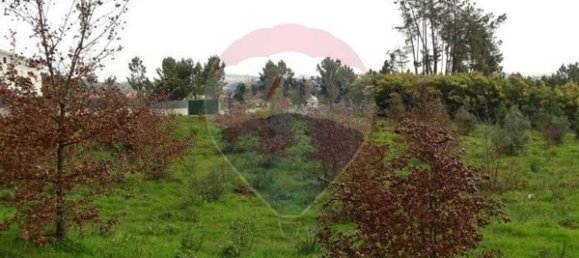 10000m² Land in Mangualde, Portugal No. 52726 2