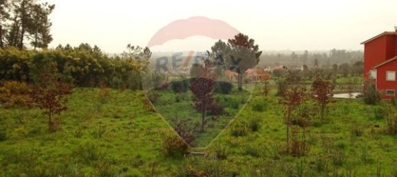 10000m² Land in Mangualde, Portugal No. 52726 13