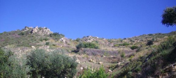 Terra em Zakynthos, Greece N.º 729 10