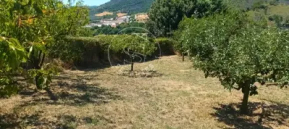 Grundstück in Chartered Community of Navarre, Spain, Nr. 173651 13