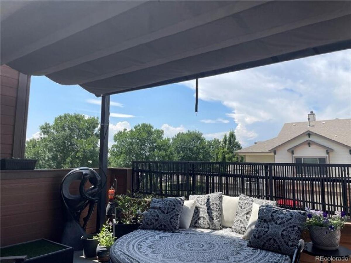 4 bedrooms House in Loveland, USA No. 394059