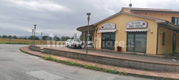 1-Zimmer Gewerbliche Immobilie in Castiglione del Lago, Italy, Nr. 287392 2