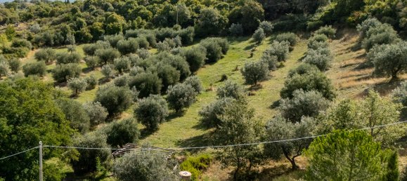 6 bedrooms House in Scansano, Italy No. 349673 24