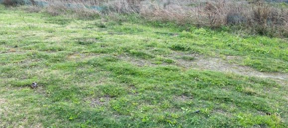 Hotel in Platanias, Greece 2754m², Nr. 2569 2