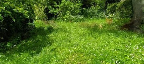 3 Schlafzimmer Haus in Viroflay, France, Nr. 331586 19